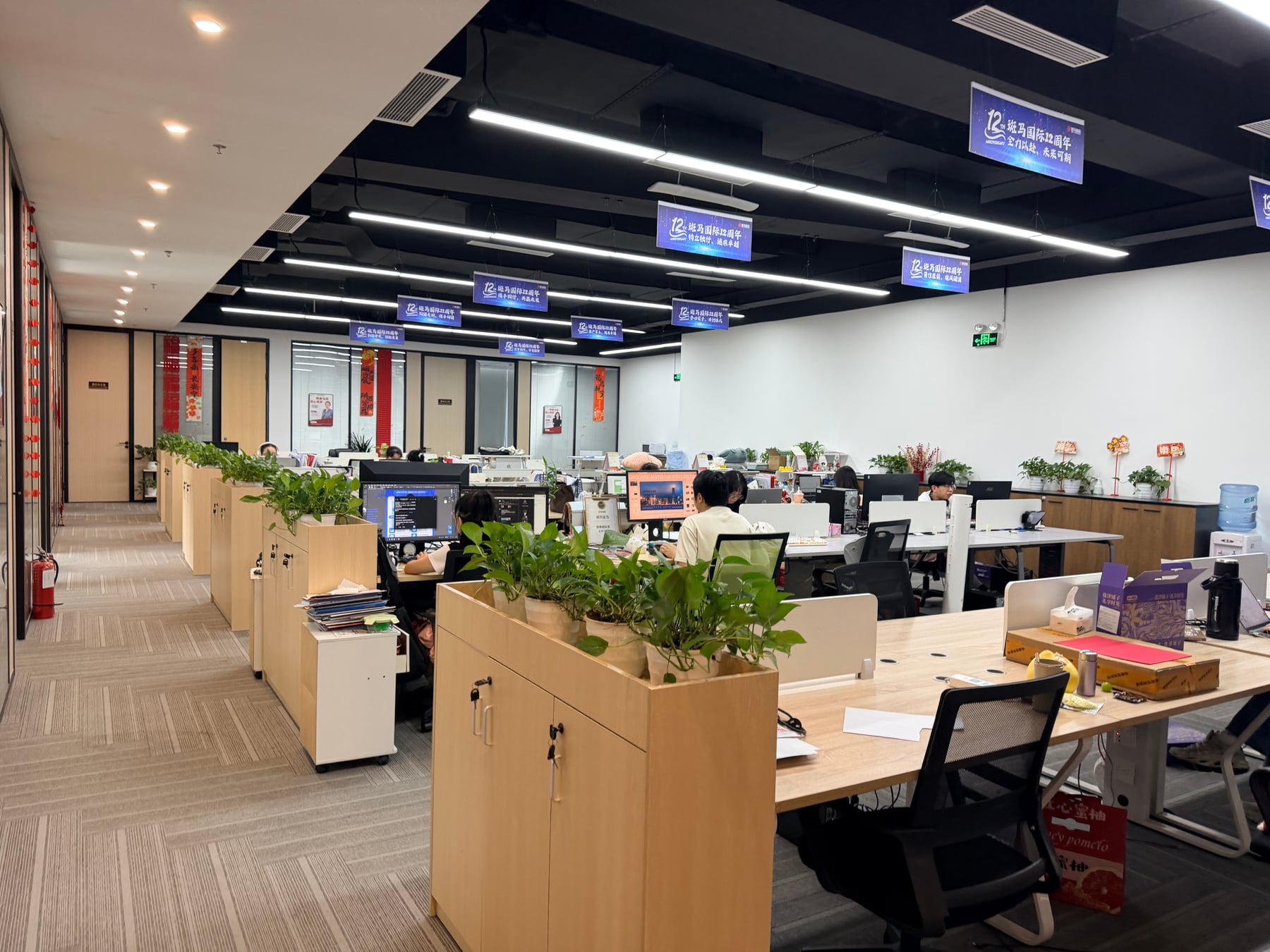 Our team working in the open-plan office