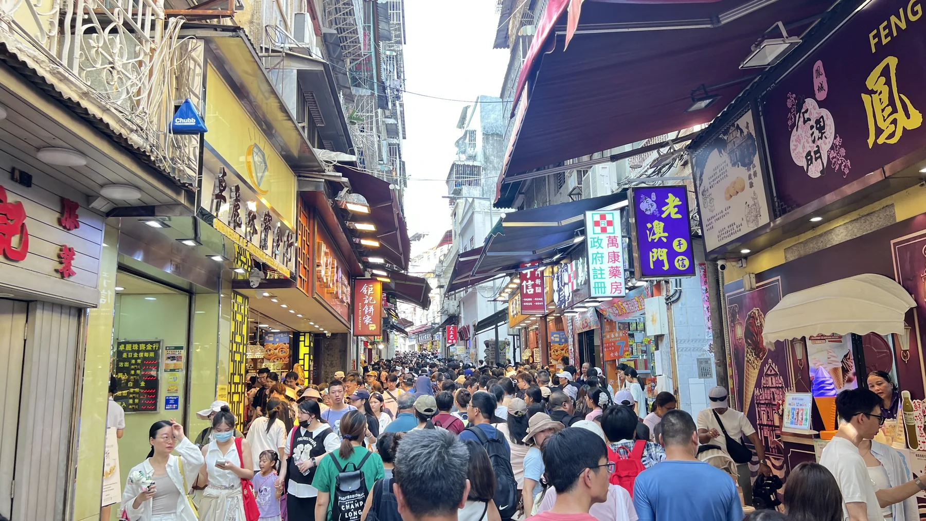 营员跟随老师穿行澳门街巷